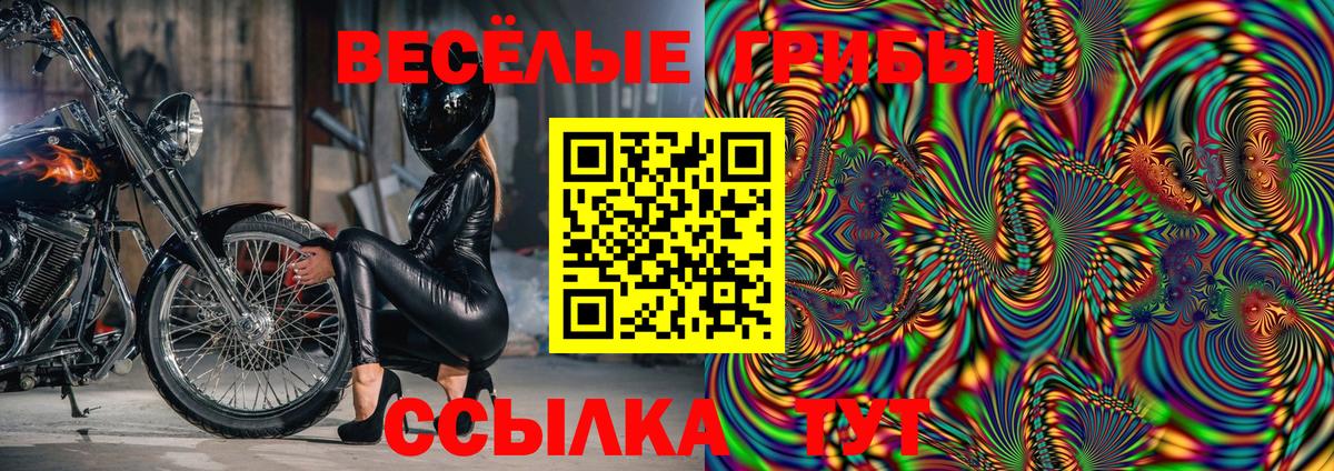 Галлюциногенные грибы Cubensis Стрежевой